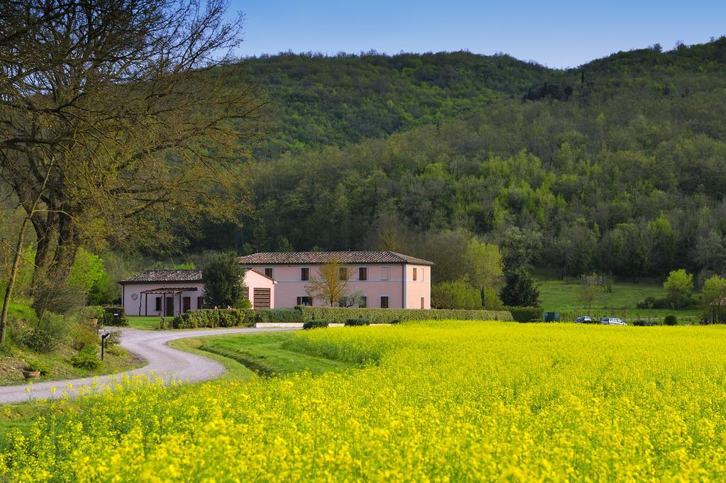 Agriturismo Il Corniolo Cenerente Cameră foto